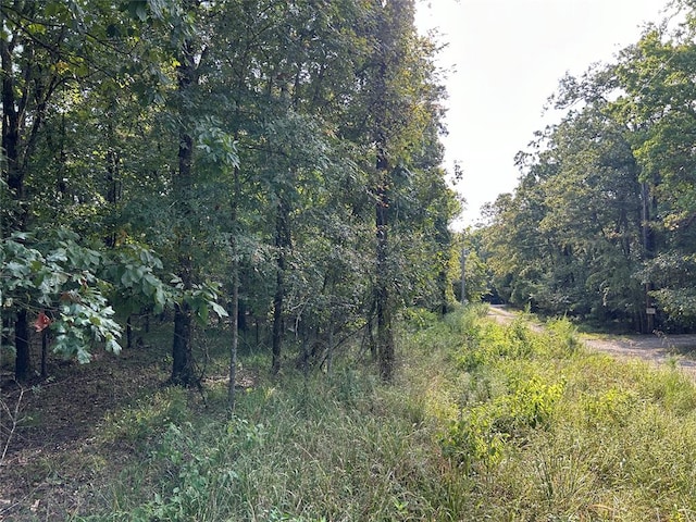 Alexis Ln, Broken Bow OK, 74728 land for sale