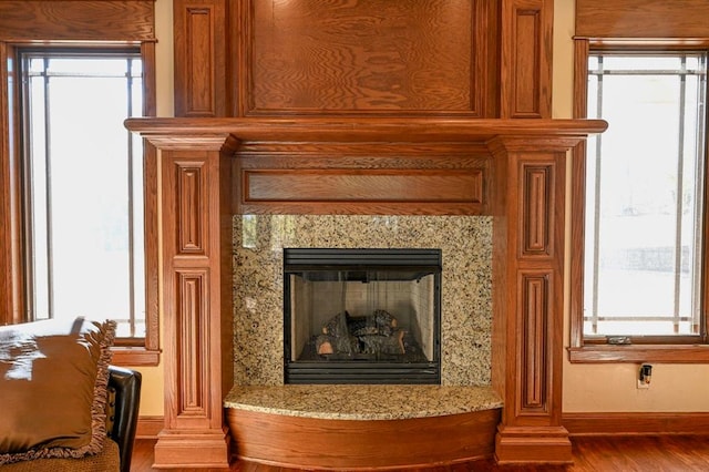 details with a premium fireplace and hardwood / wood-style floors