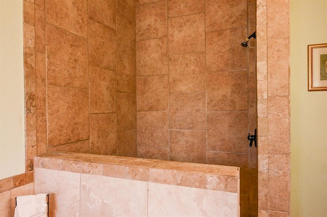 room details with tiled shower