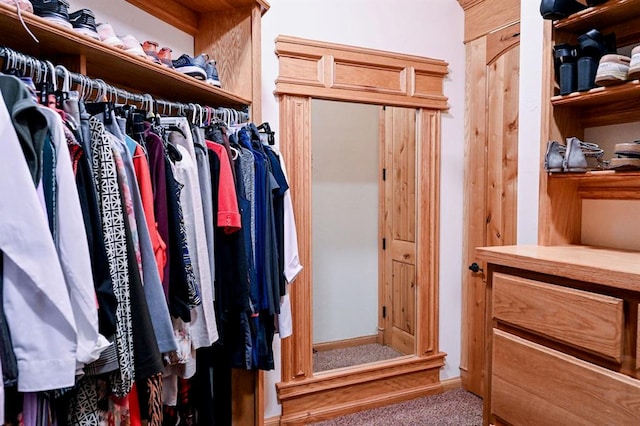 view of spacious closet