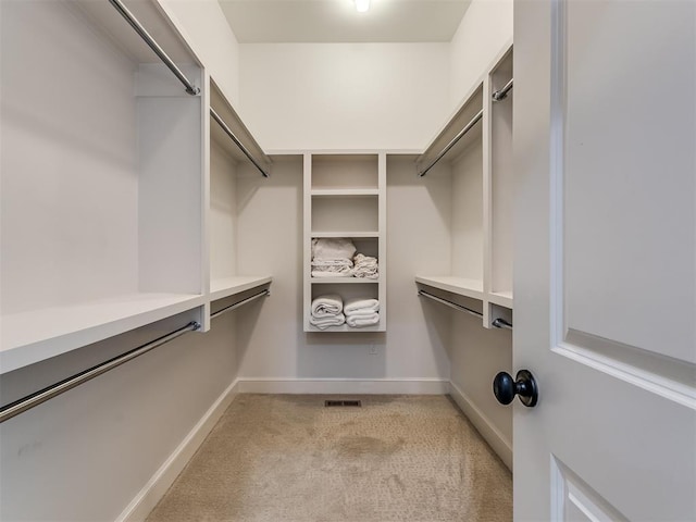 spacious closet with light colored carpet