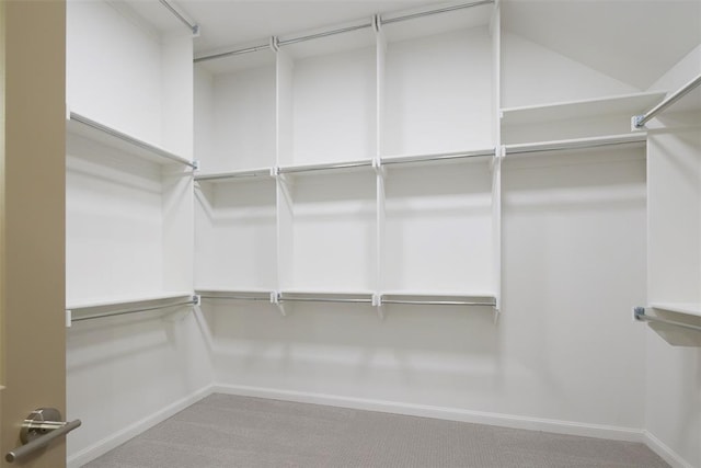 walk in closet featuring carpet floors