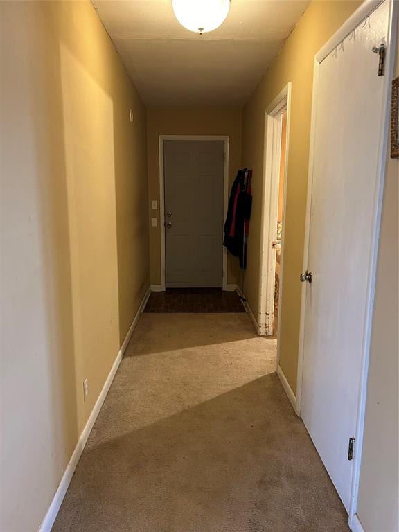 hallway with carpet flooring