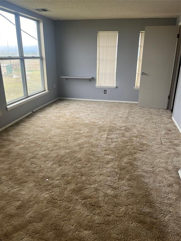 unfurnished room with carpet and a textured ceiling