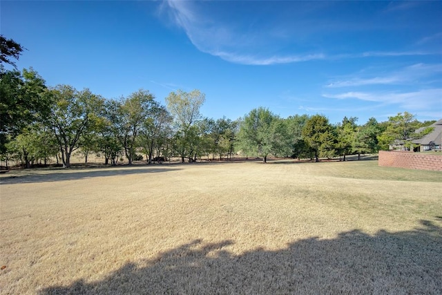 view of yard featuring a rural view