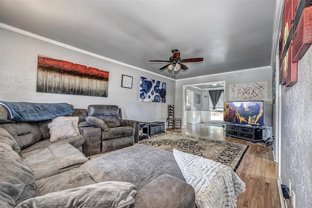 living room with hardwood / wood-style floors, ceiling fan, and crown molding