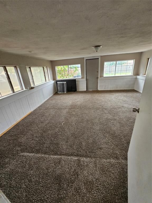 interior space featuring carpet, a textured ceiling, and radiator