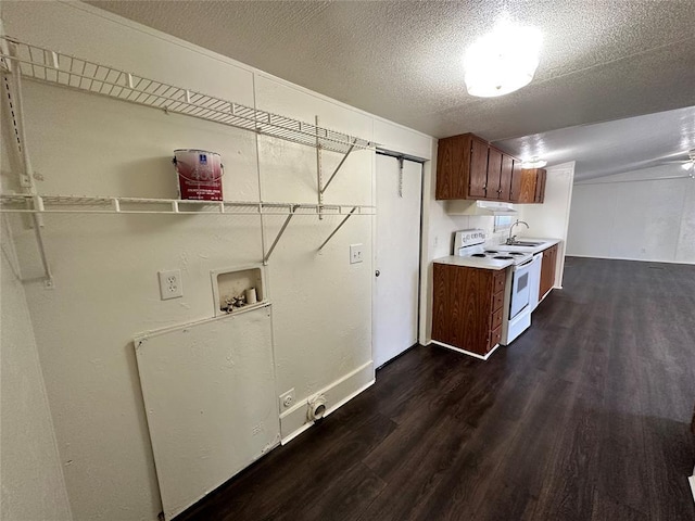 kitchen with a textured ceiling, dark hardwood / wood-style flooring, white range with electric cooktop, and sink