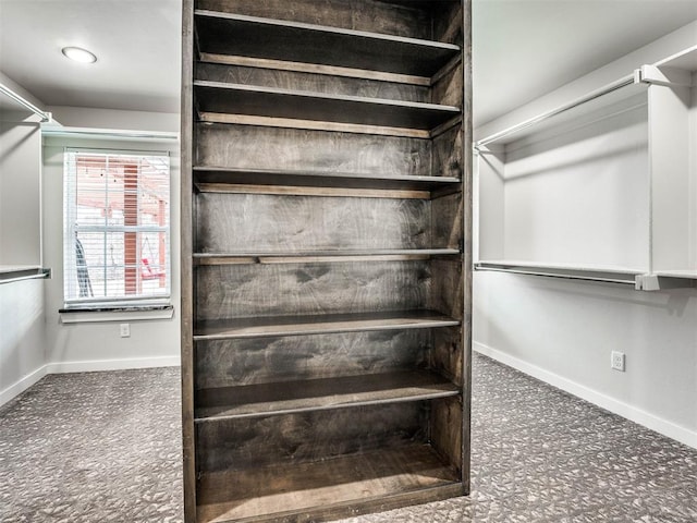 spacious closet with carpet flooring