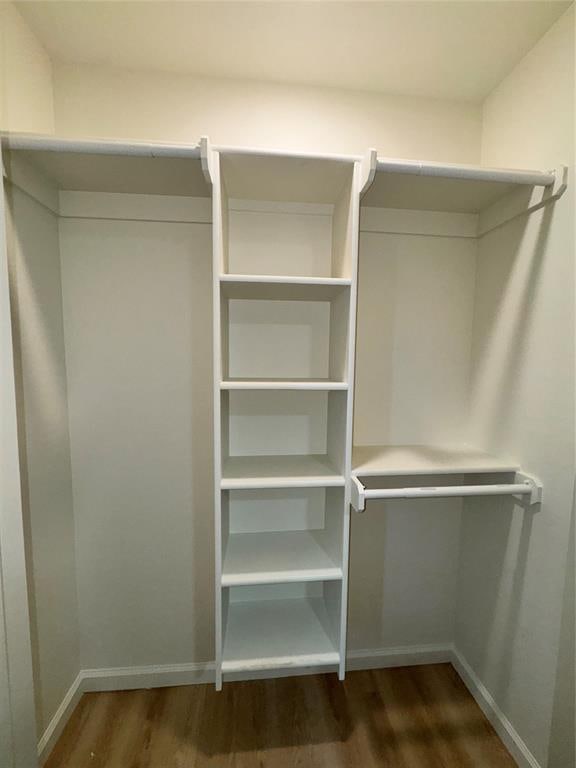 spacious closet featuring dark hardwood / wood-style floors