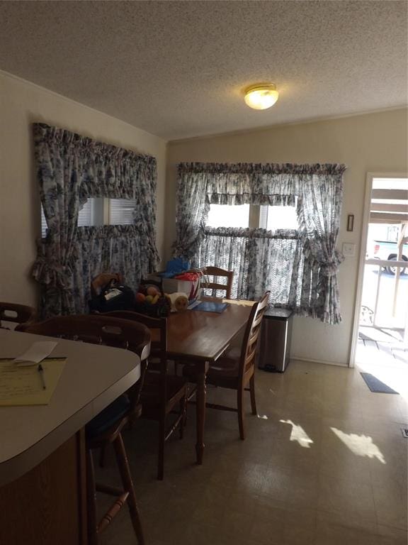 dining room with a textured ceiling