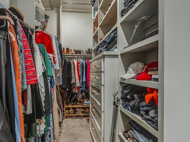 spacious closet with light colored carpet