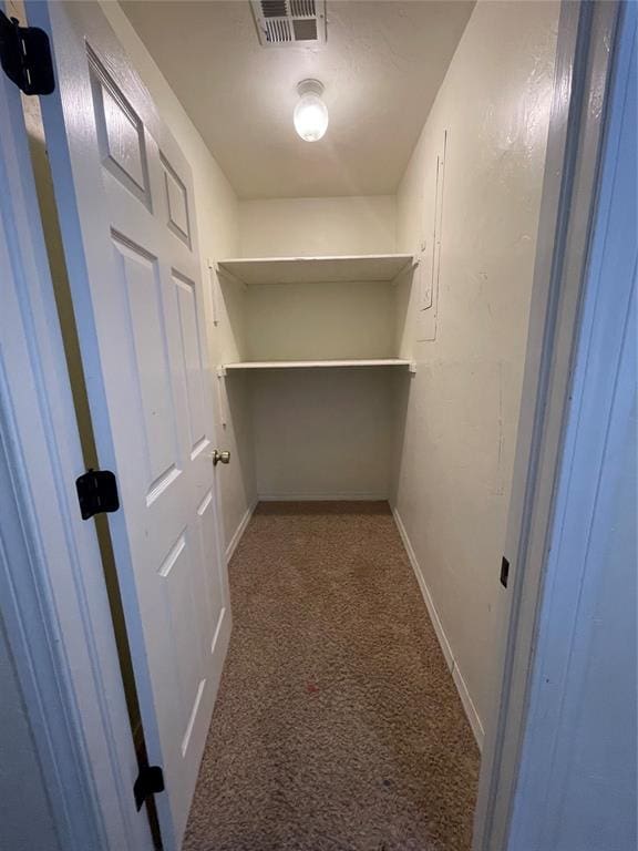 spacious closet featuring carpet