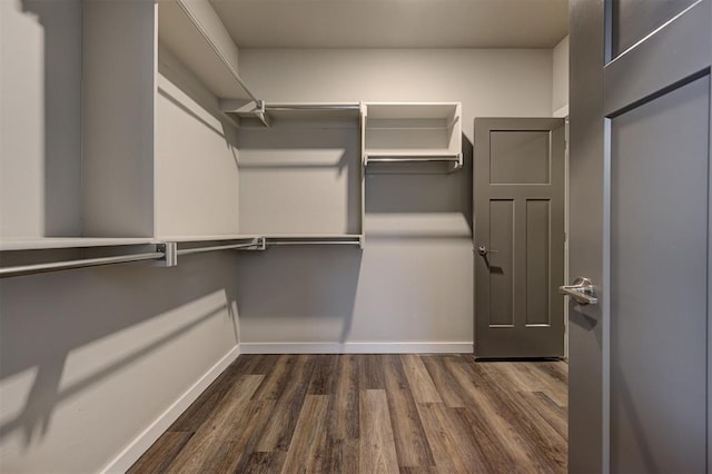 spacious closet with dark hardwood / wood-style flooring