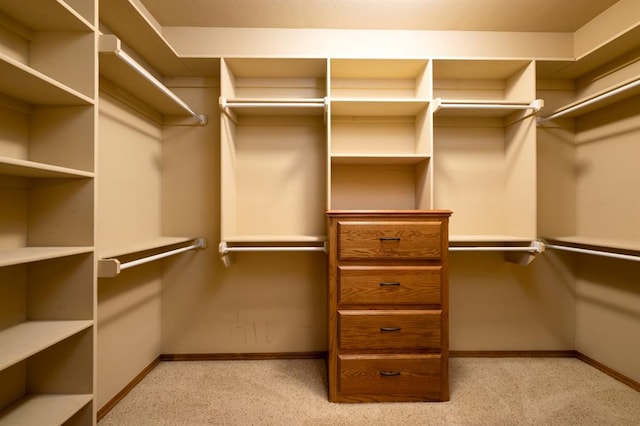 spacious closet featuring light carpet