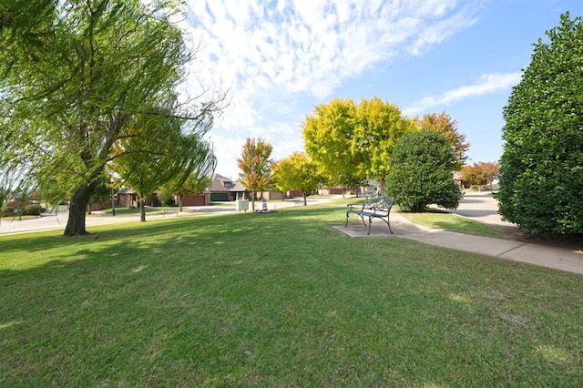 view of community featuring a yard