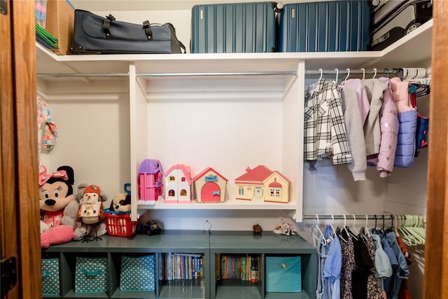 view of closet