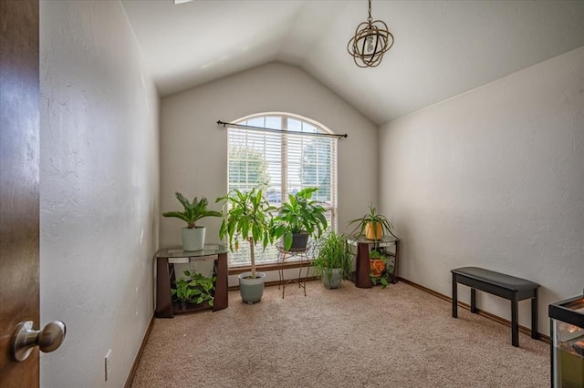 misc room featuring carpet floors and lofted ceiling