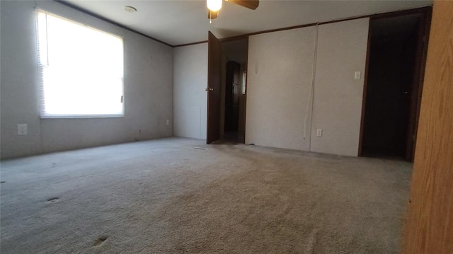 carpeted spare room with ceiling fan and ornamental molding