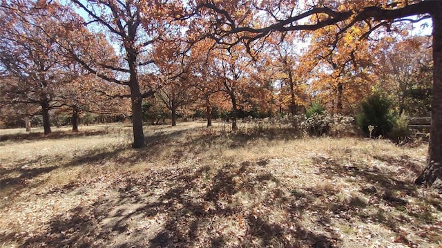 view of local wilderness