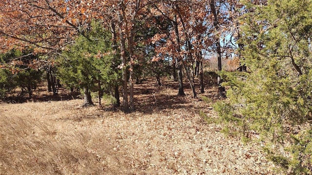 view of landscape