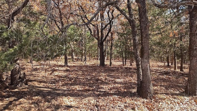 view of landscape