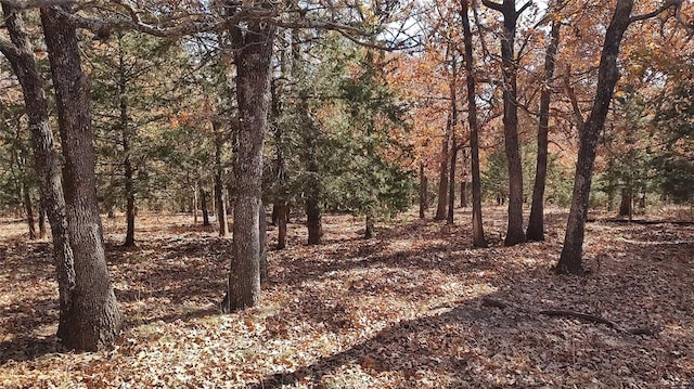 view of landscape