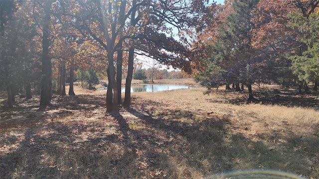 view of yard featuring a water view