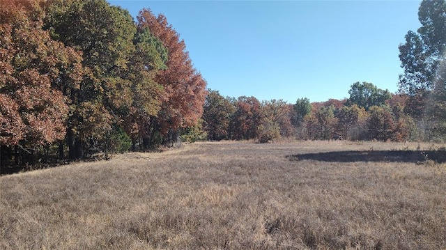 view of local wilderness