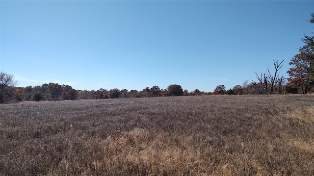 view of local wilderness featuring a rural view