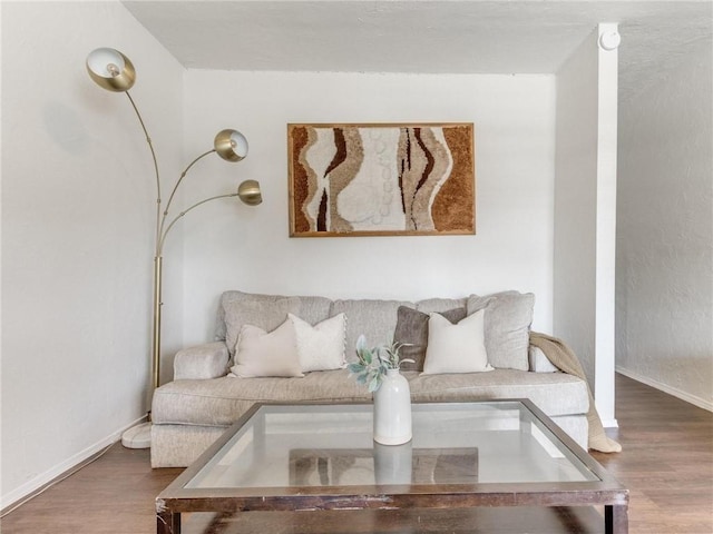 living room featuring wood-type flooring