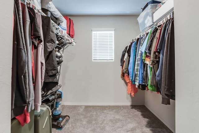 spacious closet featuring carpet floors