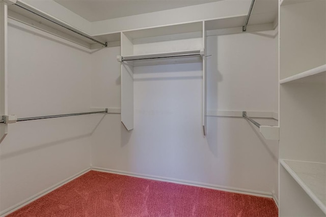 walk in closet featuring carpet