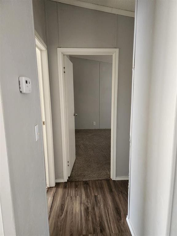 hallway featuring dark hardwood / wood-style floors