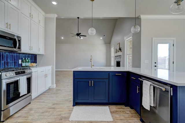 kitchen with appliances with stainless steel finishes, white cabinetry, blue cabinets, and sink