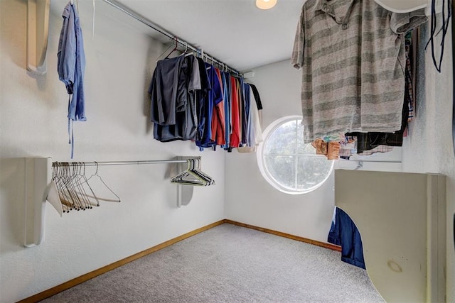 walk in closet with carpet flooring