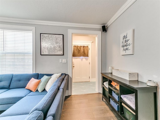 living room with light hardwood / wood-style floors and crown molding