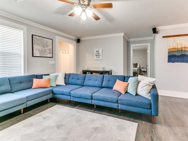 living room with dark hardwood / wood-style floors, ceiling fan, and ornamental molding