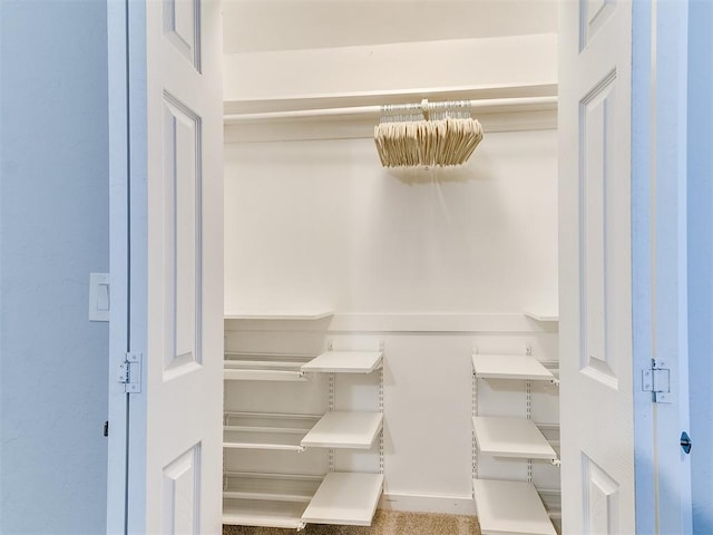 view of closet