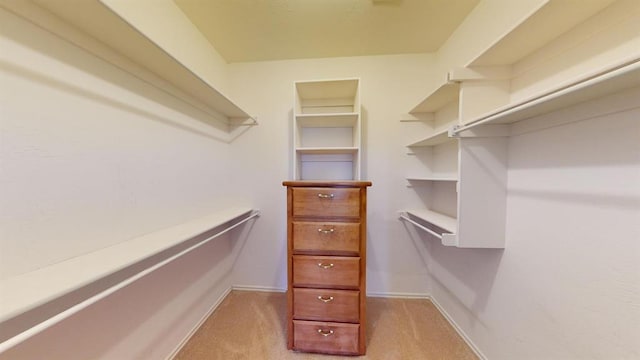 spacious closet featuring light colored carpet