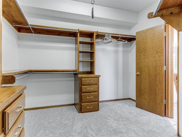 spacious closet with light carpet