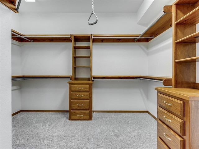 walk in closet with carpet