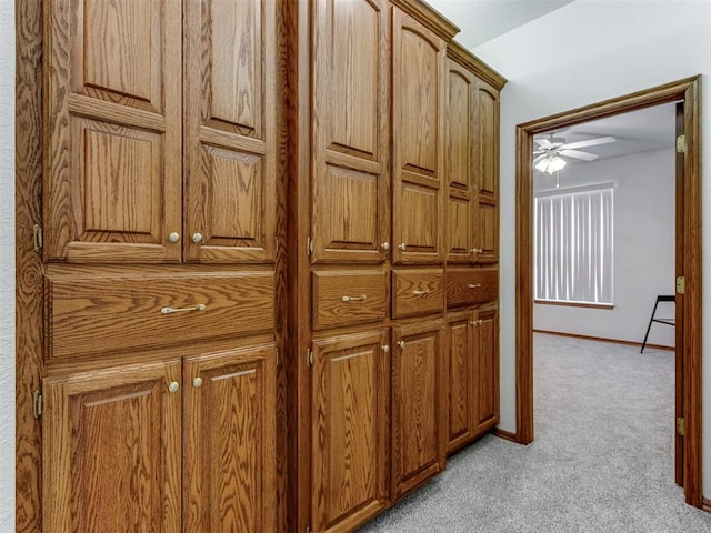 details with baseboards and carpet floors