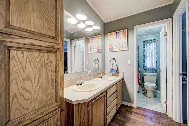 bathroom featuring wood finished floors, toilet, a textured ceiling, and a sink