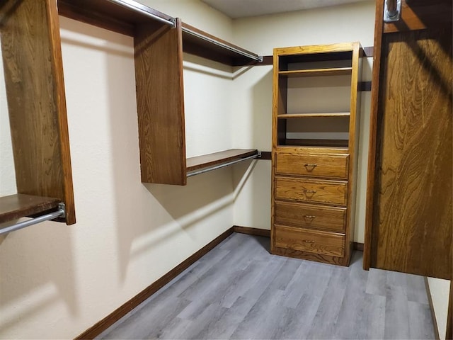 spacious closet with light wood-type flooring