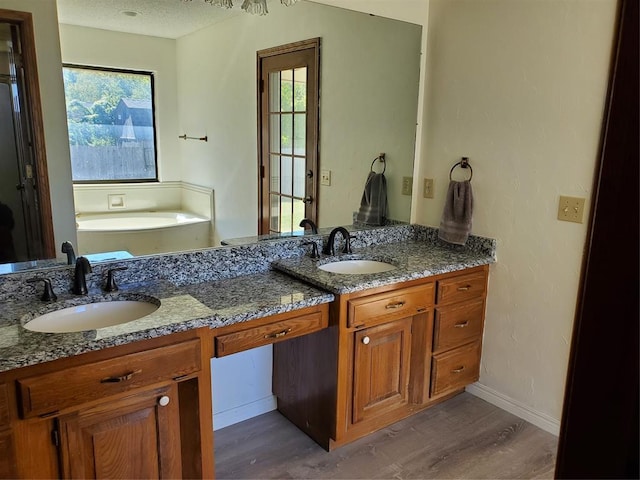 bathroom with wood-type flooring, vanity, and a wealth of natural light