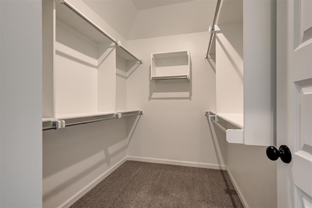 2348 Ridge Pine Rd, Edmond, OK 73034 - spacious closet with dark colored carpet