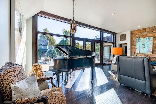 misc room featuring dark hardwood / wood-style flooring, plenty of natural light, and floor to ceiling windows