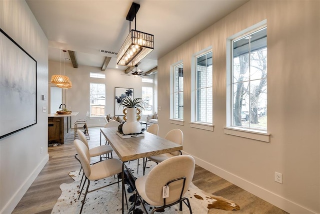 dining room with hardwood / wood-style flooring, ceiling fan, and a wealth of natural light