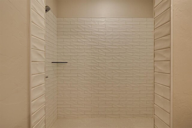 interior details with tiled shower